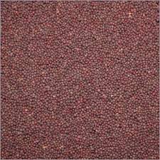 Mustard Seeds Manufacturer Supplier Wholesale Exporter Importer Buyer Trader Retailer in Morbi Gujarat India